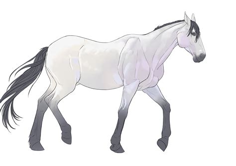 Comment dessiner un cheval | Comment dessiner un cheval, Dessin cheval
