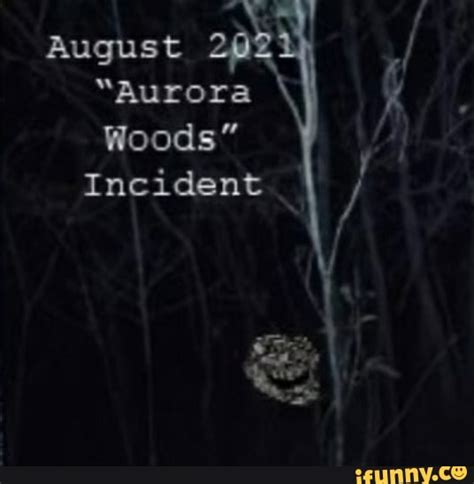 August Aurora Woods Incident Ifunny