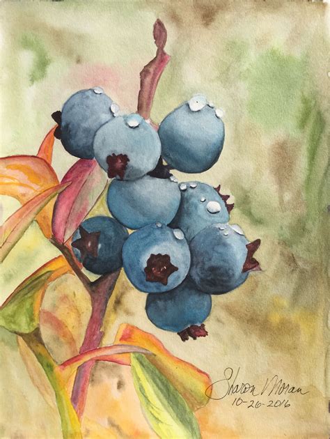 Blueberries 9 X12 Original Watercolor By Sharon Moran Flower Art