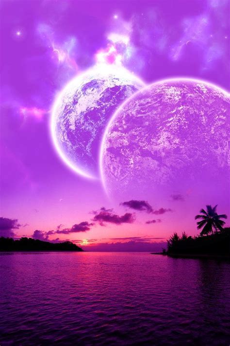 Ocean Purple Sunset Dolphin Beautiful Cosmic Sunset Purple Pink Ocean