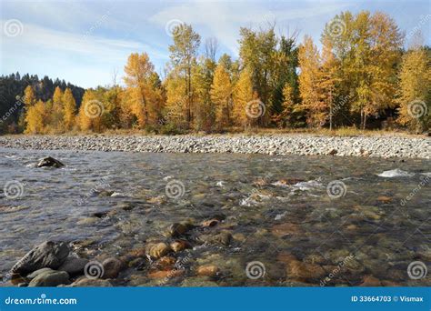 Tulameen River Autumn Colors Stock Image Image Of Tree Columbia