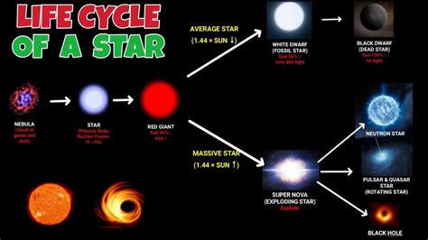 Life Cycle Of Star Black Dwarf Neutron Star Black Hole