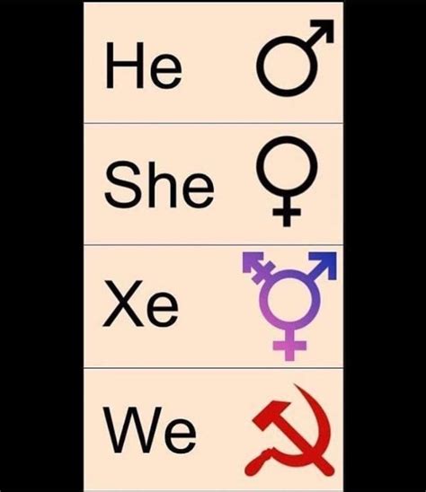 All Genders Meme By Zwampoo Memedroid