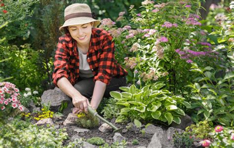 Be Among Local Gardeners In Your Area And Earn A Living
