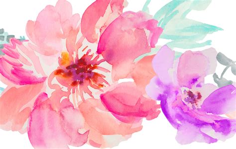 48 Hand Painted Watercolor Flowers For Premium Members Blog