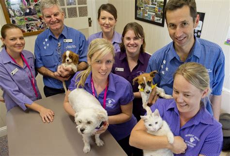 Toowoomba Vets 247 Dedicated Care Tops Poll Chronicle