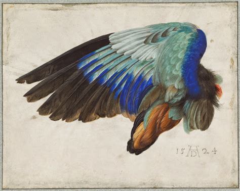 Bensozia Albrecht Dürer Animals