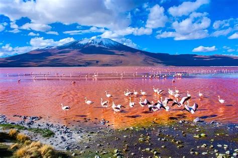 7 Naturally Beautiful Pink Lakes From Around The World Readers Digest