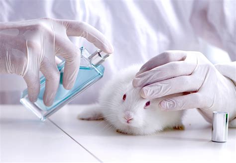 Why Animal Testing Is Good For Cosmetics Escons