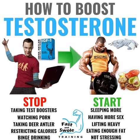 Five Myths About Testosterone No It Didnt Cause The 2008 Market