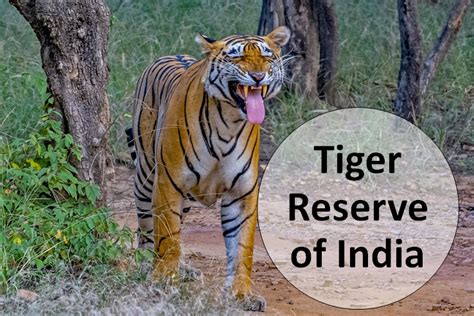 List Of 54 Tiger Reserves Of India Edudwar