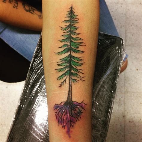 75 Simple And Easy Pine Tree Tattoo Designs And Meanings 2019