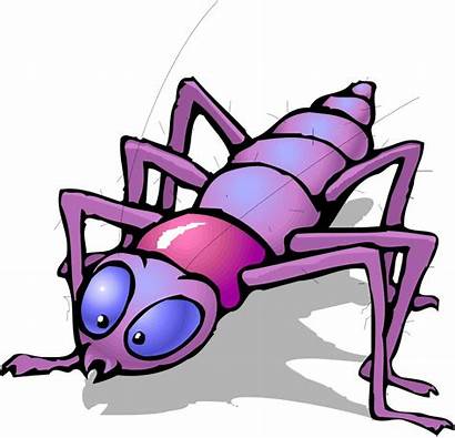 Cartoon Bug Bugs Insect Insects Purple Indoor