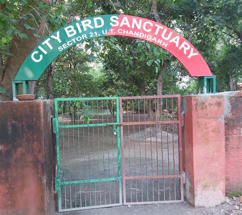 City Birds Wildlife Sanctuary In Sector 21 Chandigarh Best Zoo And