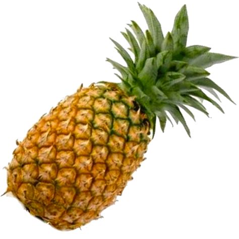 Here you will get all types of png images with transparent background. Piña png 1 » PNG Image