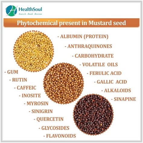 Mustard Seed Benefits Healthsoul