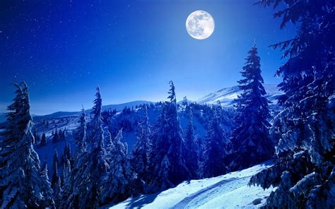 3840x2400 Full Moon Over Winter Forest 4k 3840x2400 Resolution