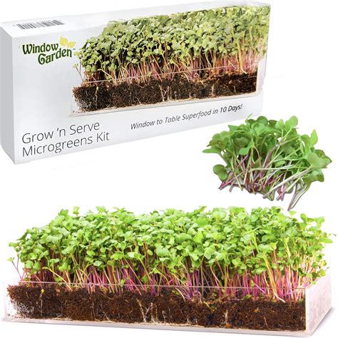 Window Garden Microgreens Kit Seeds To Fresh Greens Complete