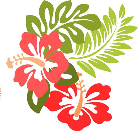 Hawaiian Luau Aloha Flower Transparent Png Png Mart