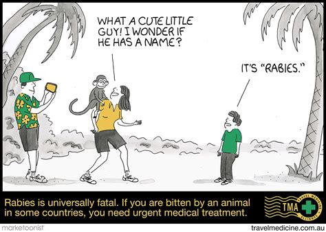 Travel Vaccines Bali - What vaccines do I need for Bali? - The Travel