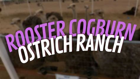 Rooster Cogburn Ostrich Ranch Youtube