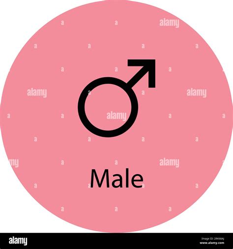 Male Symbol Icon Gender Icon Vector Sign Isolated On A White Background Illustration For