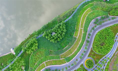 A Flood Adaptive Landscape Yanweizhou Park In Jinhua City Landscape