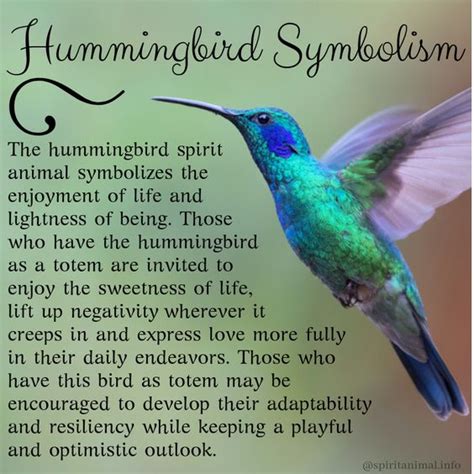 To make adorable ascii bunnies, try one of the following methods. The Symbolism of the Hummingbird as a Spirit Animal ...