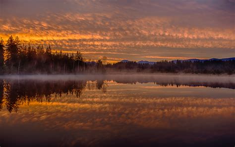 Dawn Morning Mist Reflection Forest Lake Wallpapers Hd Desktop