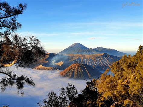 The Ultimate Guide To Visiting Mount Bromo In East Java Go See Orbis