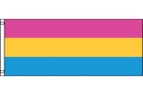 Pansexual 3 X 5 Flag Lgbtq Pride Full Size Flag For Parade Or Etsy