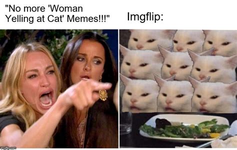 Woman Yelling At Many Cats Imgflip