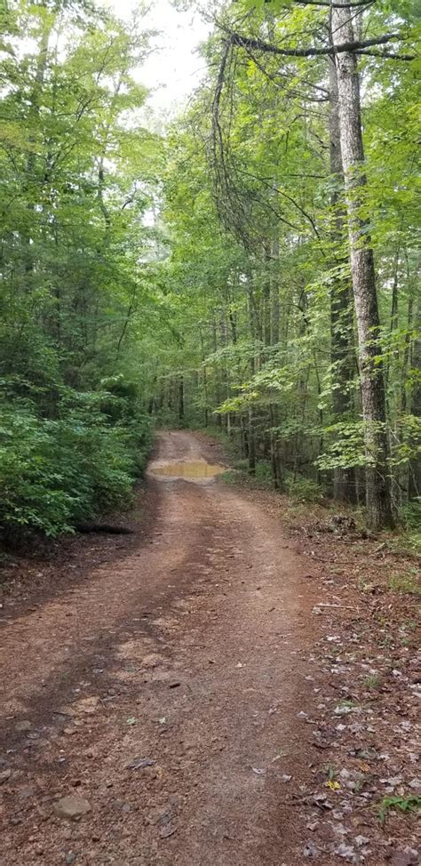 Winding Stair Mountain Trail Georgia Off Road Map Guide And Tips