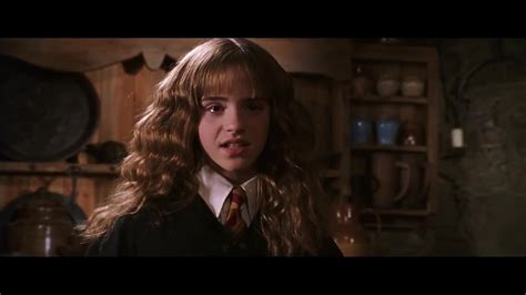 Hermione From Harry Potter F Fa F Fe F C Ad IMGSRC RU