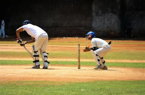 Best Cricket Slogans To Boost Your Team Success