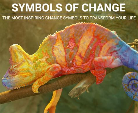 The Top Symbols Of Change Inspire And Transform Your Life