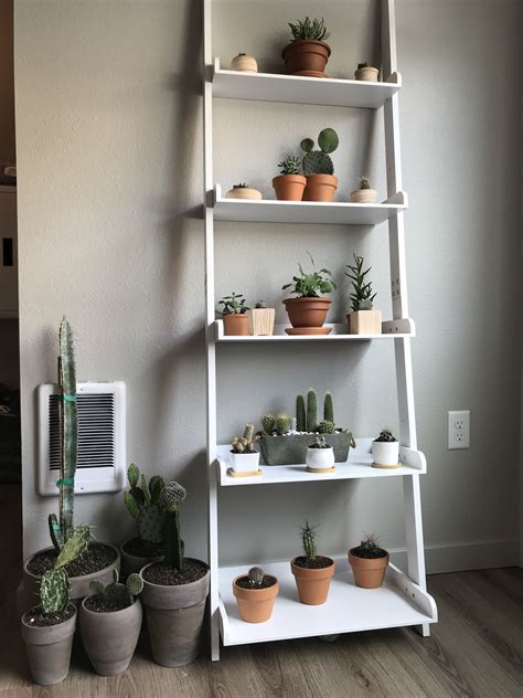 White Ladder Shelf With Cacti And Herbs And Succulents White Ladder