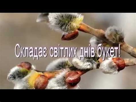 Нехай з вербною гілочкою в ваш будинок приходить умиротворення, нехай буде щасливий кожен в ньому не тільки в цю неділю. Привітання з Вербною неділею - YouTube