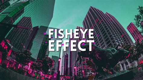 Fish Eye Lens Effect In After Effects After Effects Tutorial 2017