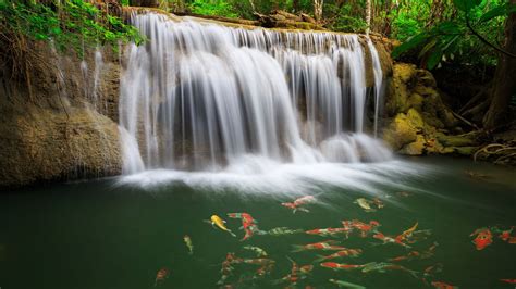 Hd Desktop Wallpaper Waterfalls Waterfall Earth Fish Thailand