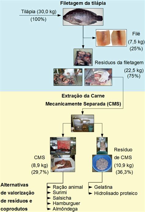 O Que é Carne Mecanicamente Separada