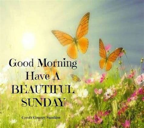 Good Morning Sunday Pictures Photos And Images For