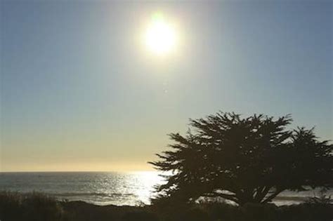 Moonstone Beach Bar & Grill, Cambria - Menu, Prices ...