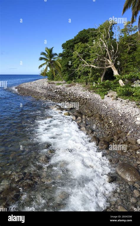 Caribbean Dominica Island Portsmouth Prince Rupert Bay Pebble Beach
