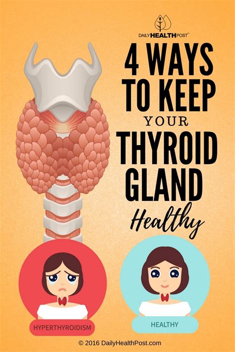 4 Ways To Keep Your Thyroid Gland Healthy