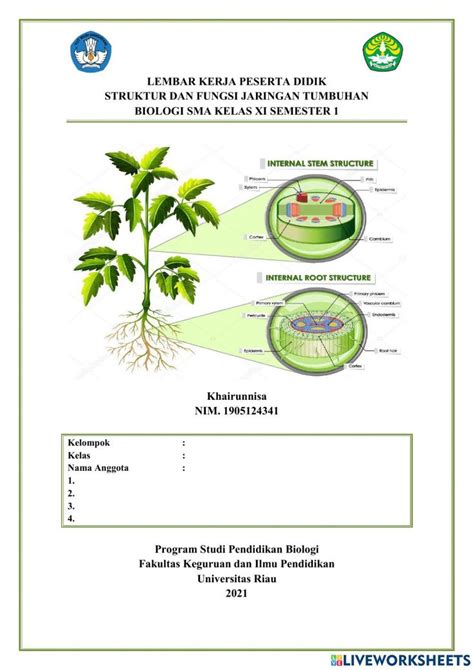 Lkpd Struktur Dan Fungsi Jaringan Tumbuhan Interactive Worksheet