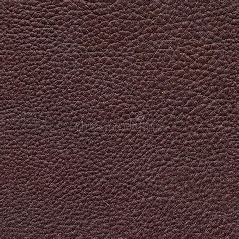 Seamless Brown Leather Texture Stock Photo Image Of Skin Brown