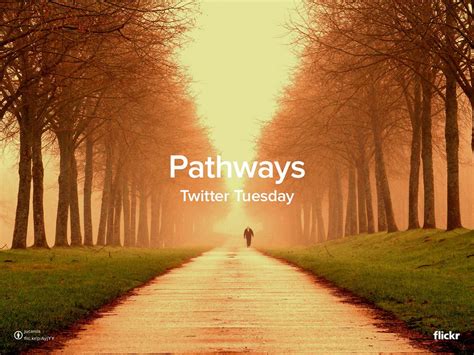 Twitter Tuesday: Pathways | Flickr Blog