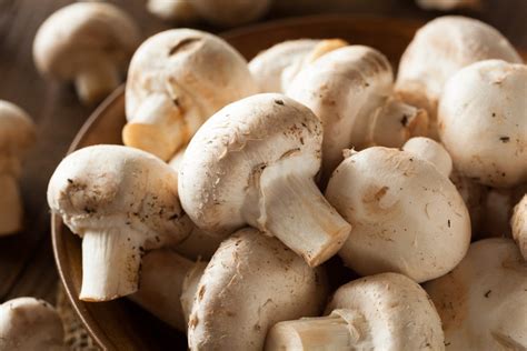 18 Common Types Of Mushrooms How To Cook Them