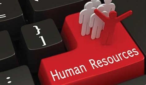 Download referensi skripsi semua jurusan. Kumpulan Judul Skripsi Manajemen Sumber Daya Manusia (SDM) | Human resources, Manusia, Latihan
